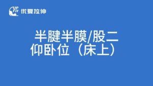 半腱半膜与股二拉伸（床上）