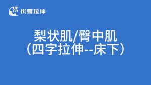 梨状肌臀中肌肉