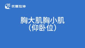 胸大肌胸小肌拉伸（仰卧位）