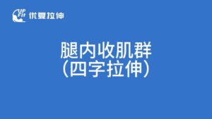 腿内收肌群-四字拉伸